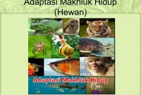 Adaptasi Makhluk Hidup