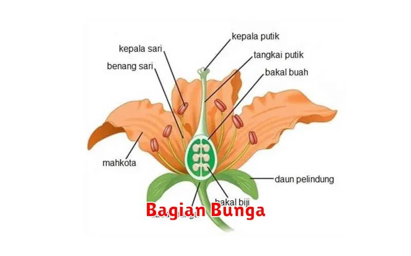 Bagian Bunga