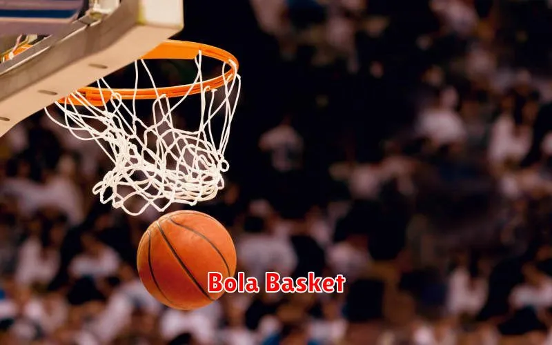 Bola Basket