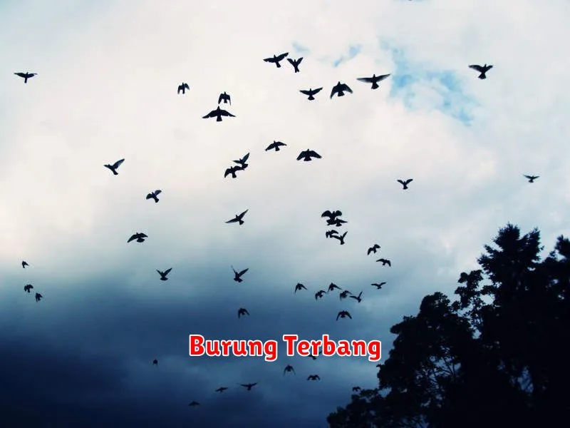 Burung Terbang