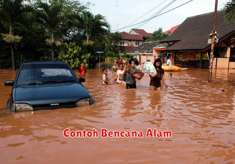 Contoh Bencana Alam