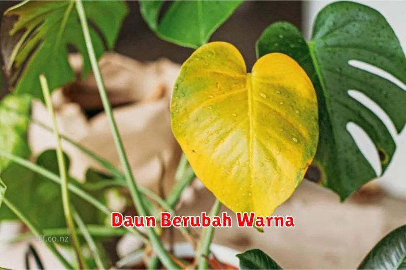 Daun Berubah Warna