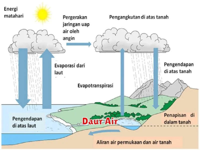 Daur Air