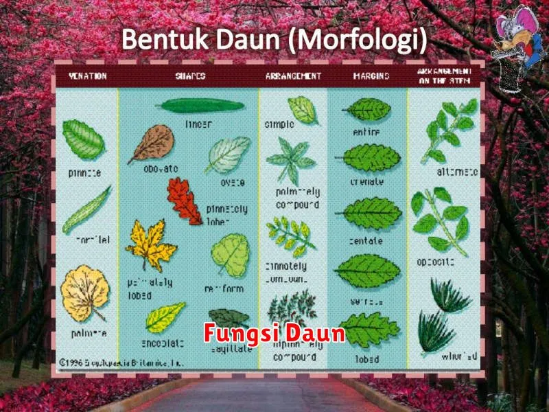 Fungsi Daun