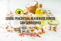 Fungsi Lemak