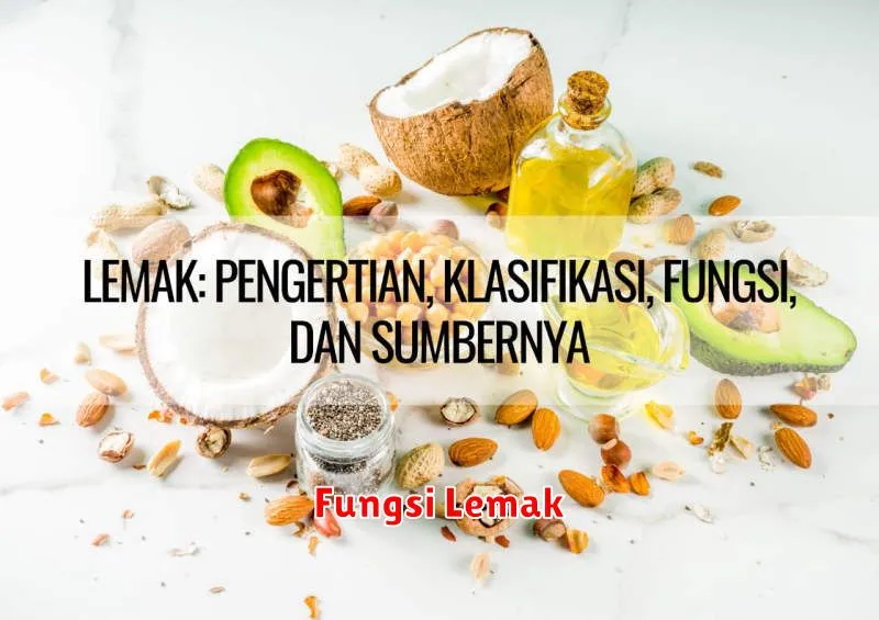 Fungsi Lemak