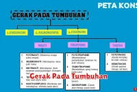 Gerak Pada Tumbuhan