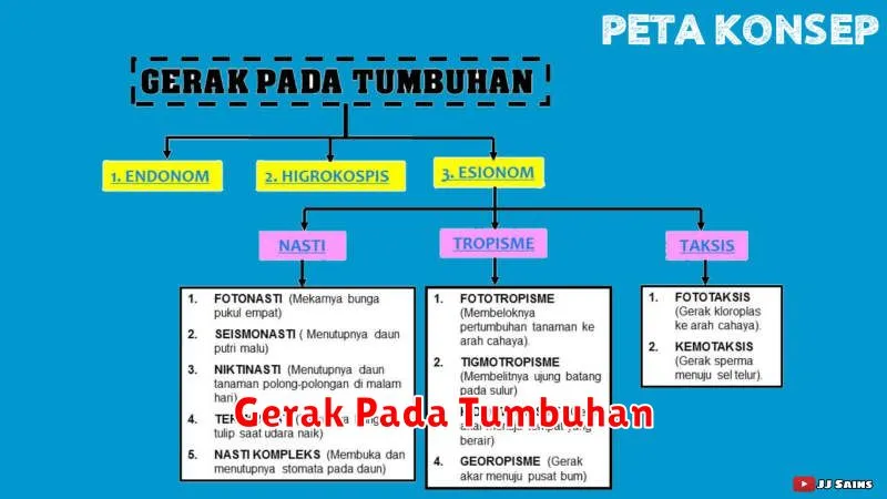 Gerak Pada Tumbuhan