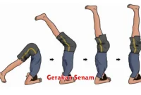 Gerakan Senam