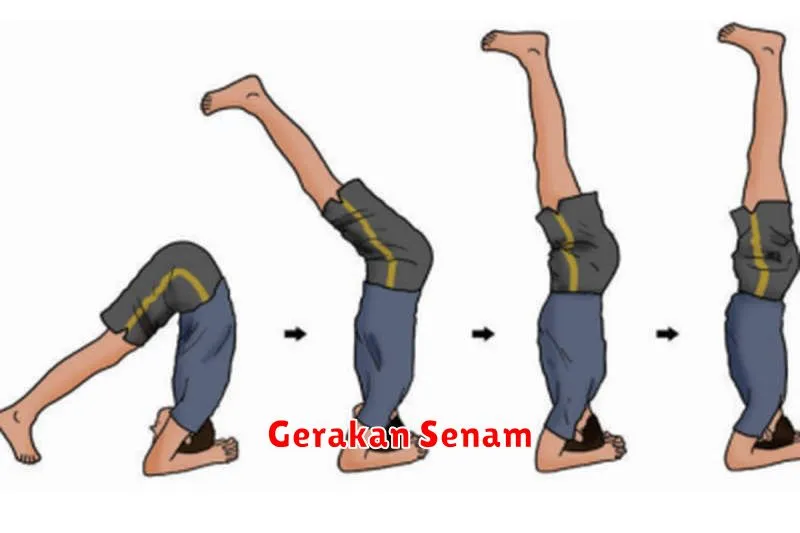 Gerakan Senam