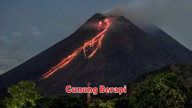 Gunung Berapi