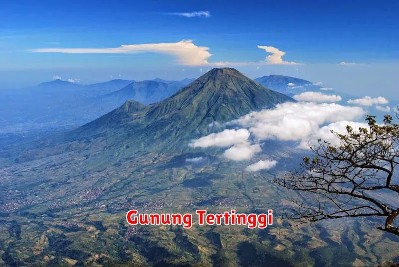 Gunung Tertinggi