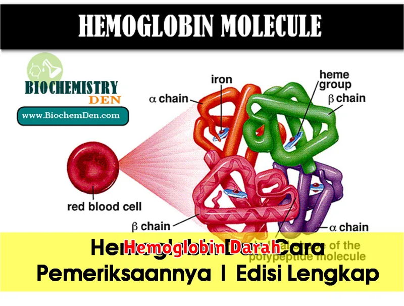 Hemoglobin Darah