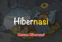 Hewan Hibernasi