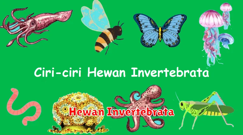 Hewan Invertebrata