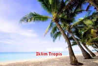 Iklim Tropis