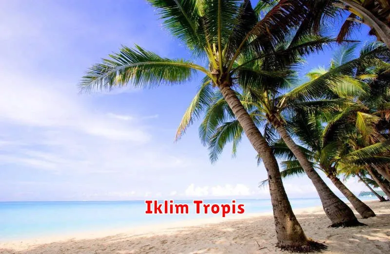 Iklim Tropis