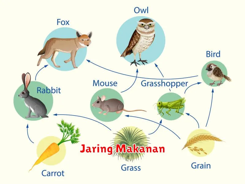 Jaring Makanan