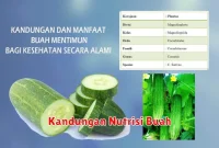 Kandungan Nutrisi Buah