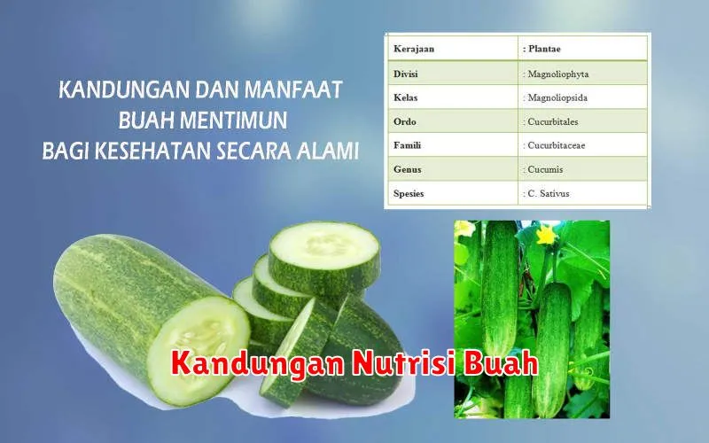 Kandungan Nutrisi Buah