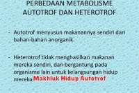 Makhluk Hidup Autotrof