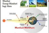 Manfaat Matahari