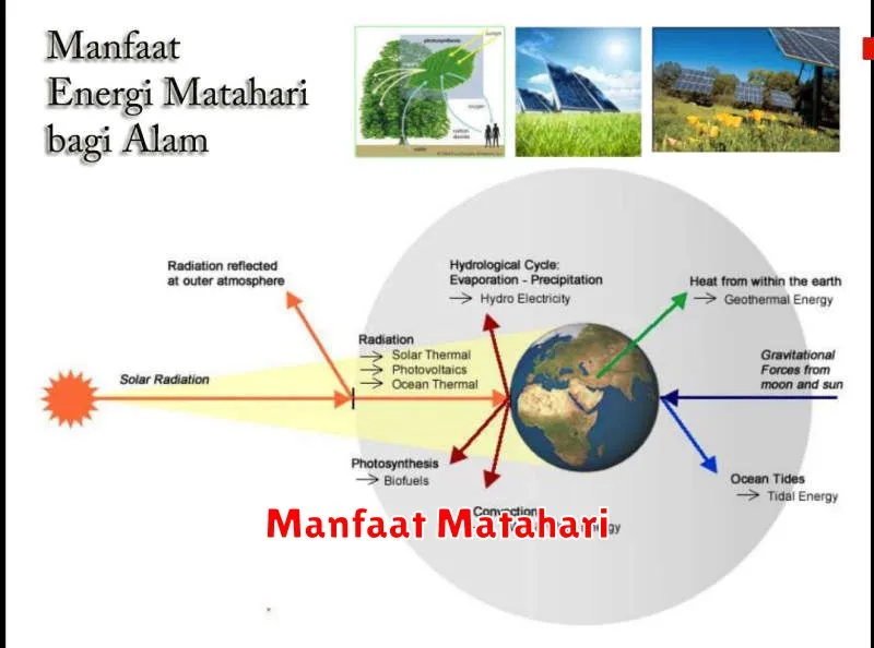 Manfaat Matahari