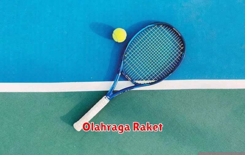 Olahraga Raket