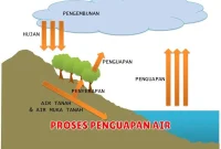 PROSES PENGUAPAN AIR