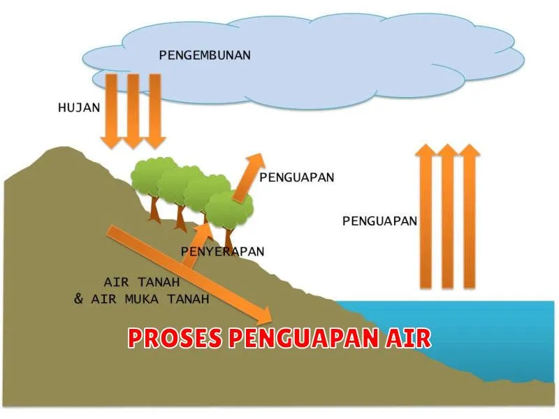 PROSES PENGUAPAN AIR