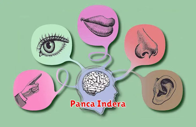 Panca Indera