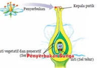 Penyerbukan Bunga