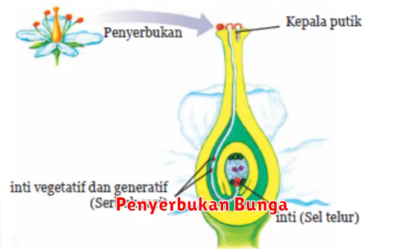 Penyerbukan Bunga