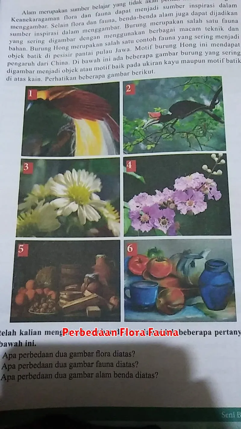 Perbedaan Flora Fauna