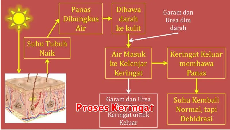 Proses Keringat