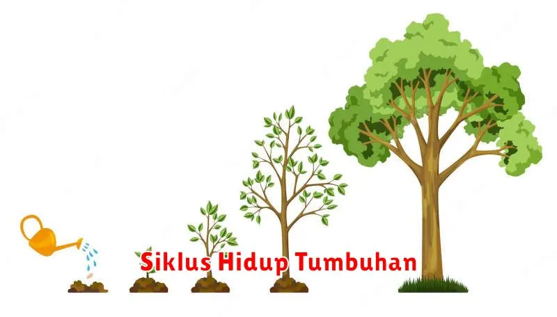 Siklus Hidup Tumbuhan