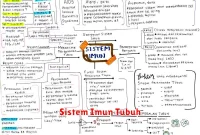 Sistem Imun Tubuh