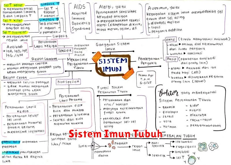 Sistem Imun Tubuh