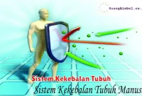 Sistem Kekebalan Tubuh