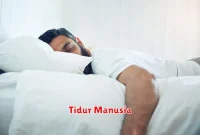 Tidur Manusia